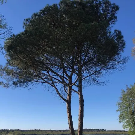 Au Velo Bleu - Privatisez Un Ancien Entre Ocean - 12pers 別荘 スーストン