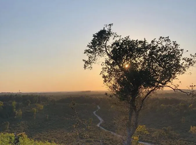 Au Velo Bleu - Privatisez Un Ancien Entre Ocean - 12pers Semesterbostad Soustons