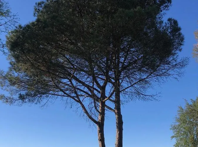 Au Velo Bleu - Privatisez Un Ancien Entre Ocean - 12pers Prázdninový dům Soustons